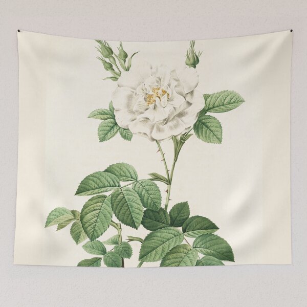 Item preview, Rosa Alba Flore Pleno designed and sold by linggalibrary.