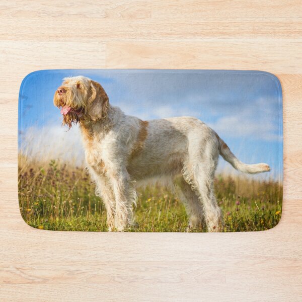 Artikelvorschau, Blauer Himmel Spinone entworfen und verkauft von FOLK ART FUSION by heidiannemorris.
