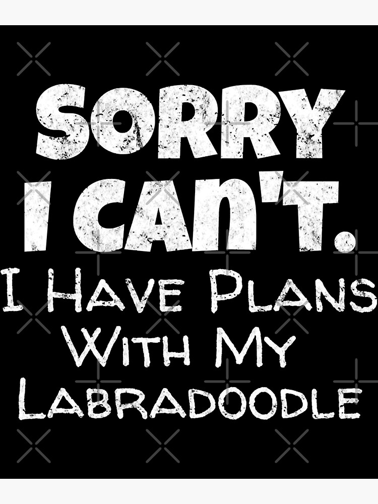 Funny Plans With My Labradoodle Tshirt Doodle Lover Gift