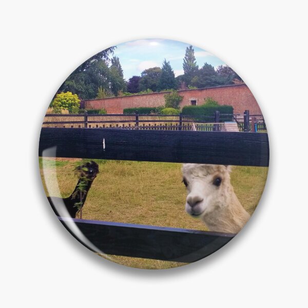 Item preview, #175 |☼| Two Alpacas (Elsham Hall, Gardens & Country Park) designed and sold by Naean H.F. (Nez Man).