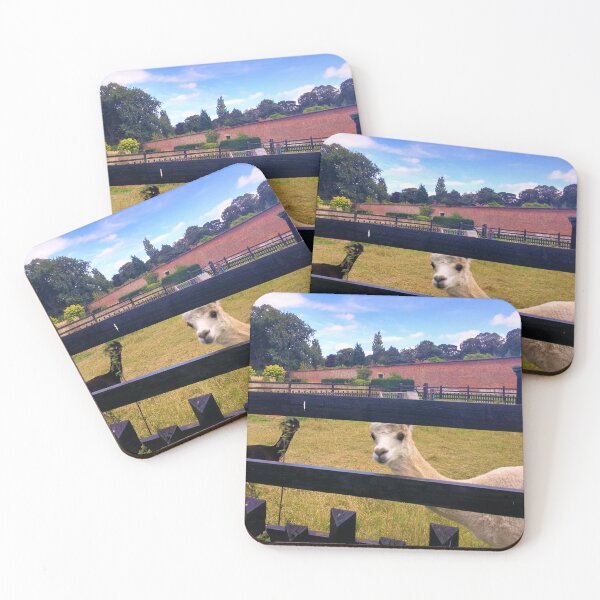 Item preview, #175 |☼| Two Alpacas (Elsham Hall, Gardens & Country Park) designed and sold by Naean H.F. (Nez Man).