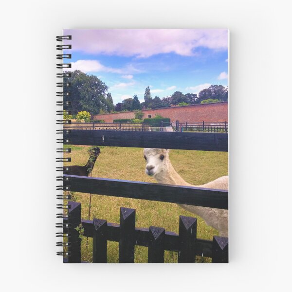 Item preview, #175 |☼| Two Alpacas (Elsham Hall, Gardens & Country Park) designed and sold by Naean H.F. (Nez Man).