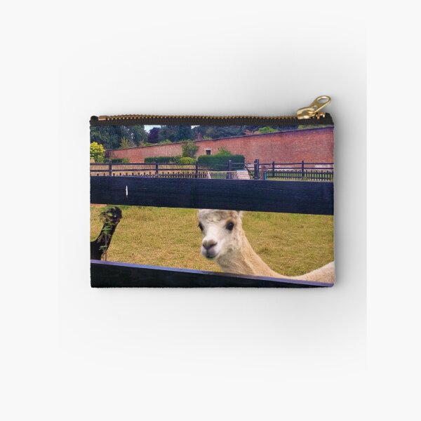 Item preview, #175 |☼| Two Alpacas (Elsham Hall, Gardens & Country Park) designed and sold by Naean H.F. (Nez Man).