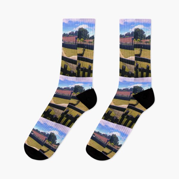 Item preview, #175 |☼| Two Alpacas (Elsham Hall, Gardens & Country Park) designed and sold by Naean H.F. (Nez Man).