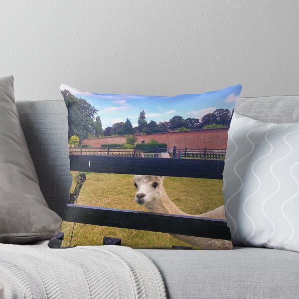 Item preview, #175 |☼| Two Alpacas (Elsham Hall, Gardens & Country Park) designed and sold by Naean H.F. (Nez Man).