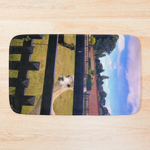 Item preview, #175 |☼| Two Alpacas (Elsham Hall, Gardens & Country Park) designed and sold by Naean H.F. (Nez Man).