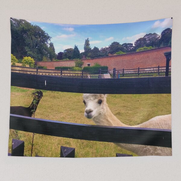 Item preview, #175 |☼| Two Alpacas (Elsham Hall, Gardens & Country Park) designed and sold by Naean H.F. (Nez Man).
