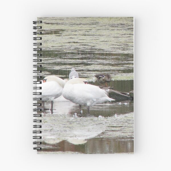 Item preview, Swan Stillife designed and sold by ArtOfE.