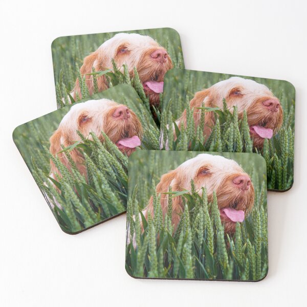 Item preview, Wheatfield Spinone designed and sold by FOLK ART FUSION by heidiannemorris.