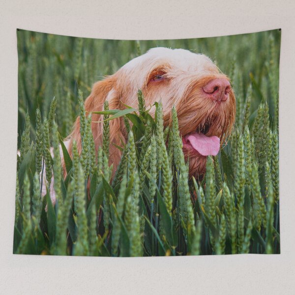 Item preview, Wheatfield Spinone designed and sold by FOLK ART FUSION.