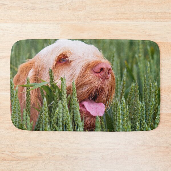 Item preview, Wheatfield Spinone designed and sold by FOLK ART FUSION by heidiannemorris.
