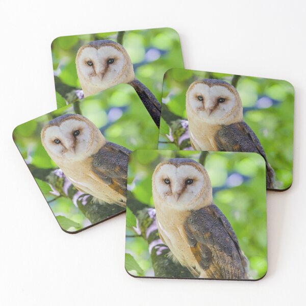 Item preview, European Barn Owl designed and sold by Dalyndigital Photography.