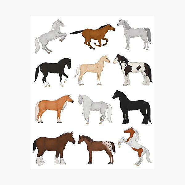 Aperçu de l'œuvre races de chevaux créée et vendue par Jumty13.