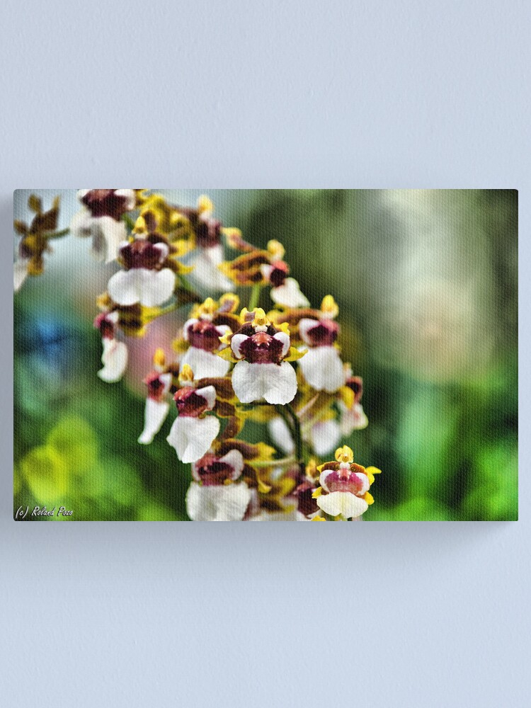 Alternate view of Dutch Maidens Canvas Print