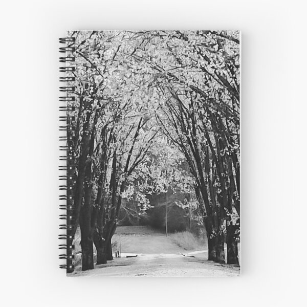 Item preview, Country Road with Bradford Blooms designed and sold by Jacqueline Cooper.