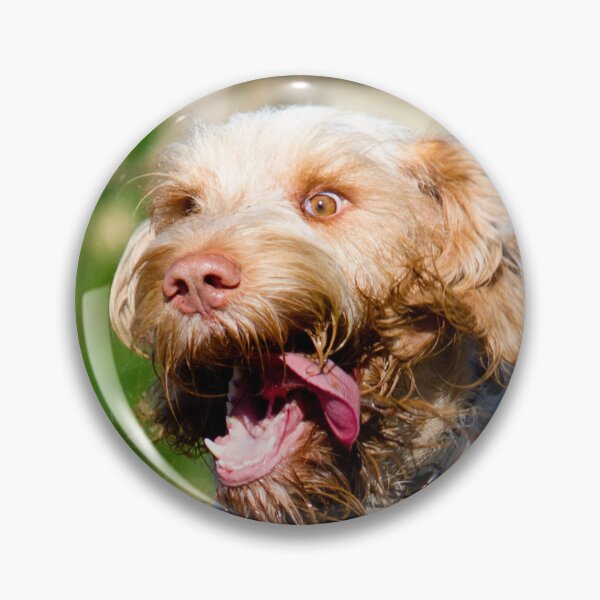 Item preview, Run like the wind Spinone designed and sold by FOLK ART FUSION by heidiannemorris.