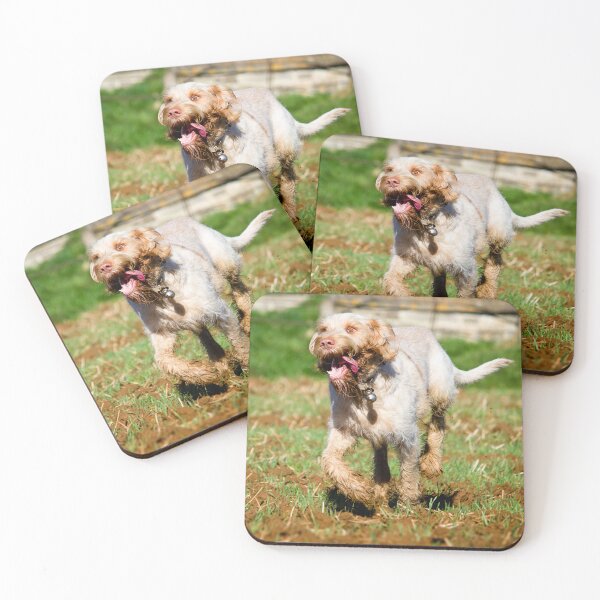 Item preview, Run like the wind Spinone designed and sold by FOLK ART FUSION by heidiannemorris.