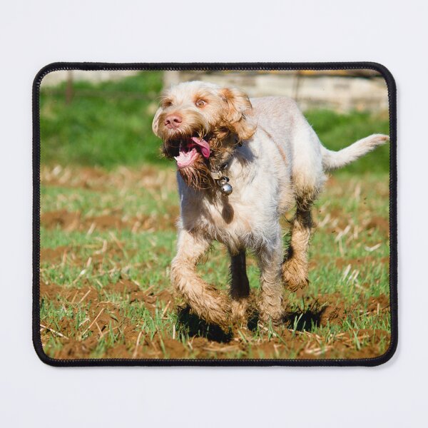 Item preview, Run like the wind Spinone designed and sold by FOLK ART FUSION.