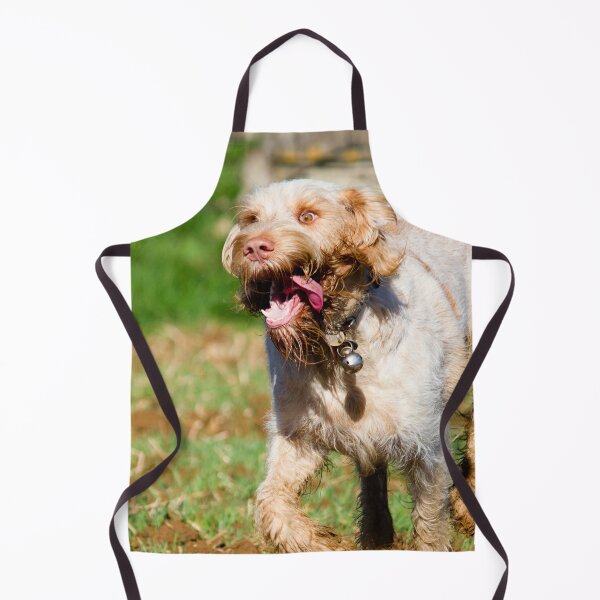 Item preview, Run like the wind Spinone designed and sold by FOLK ART FUSION by heidiannemorris.