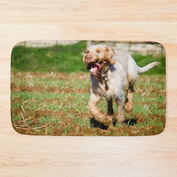 Item preview, Run like the wind Spinone designed and sold by FOLK ART FUSION by heidiannemorris.