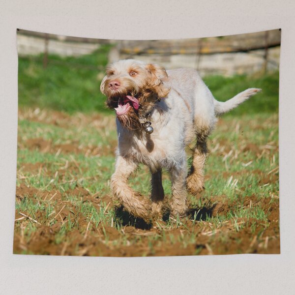 Item preview, Run like the wind Spinone designed and sold by FOLK ART FUSION by heidiannemorris.