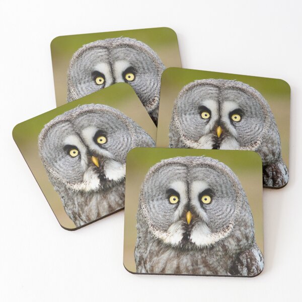 Item preview, Bearded Owl designed and sold by Dalyndigital Photography.