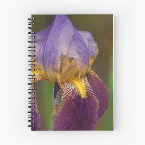 Item preview, Purplish Iris designed and sold by Rick  Friedle.
