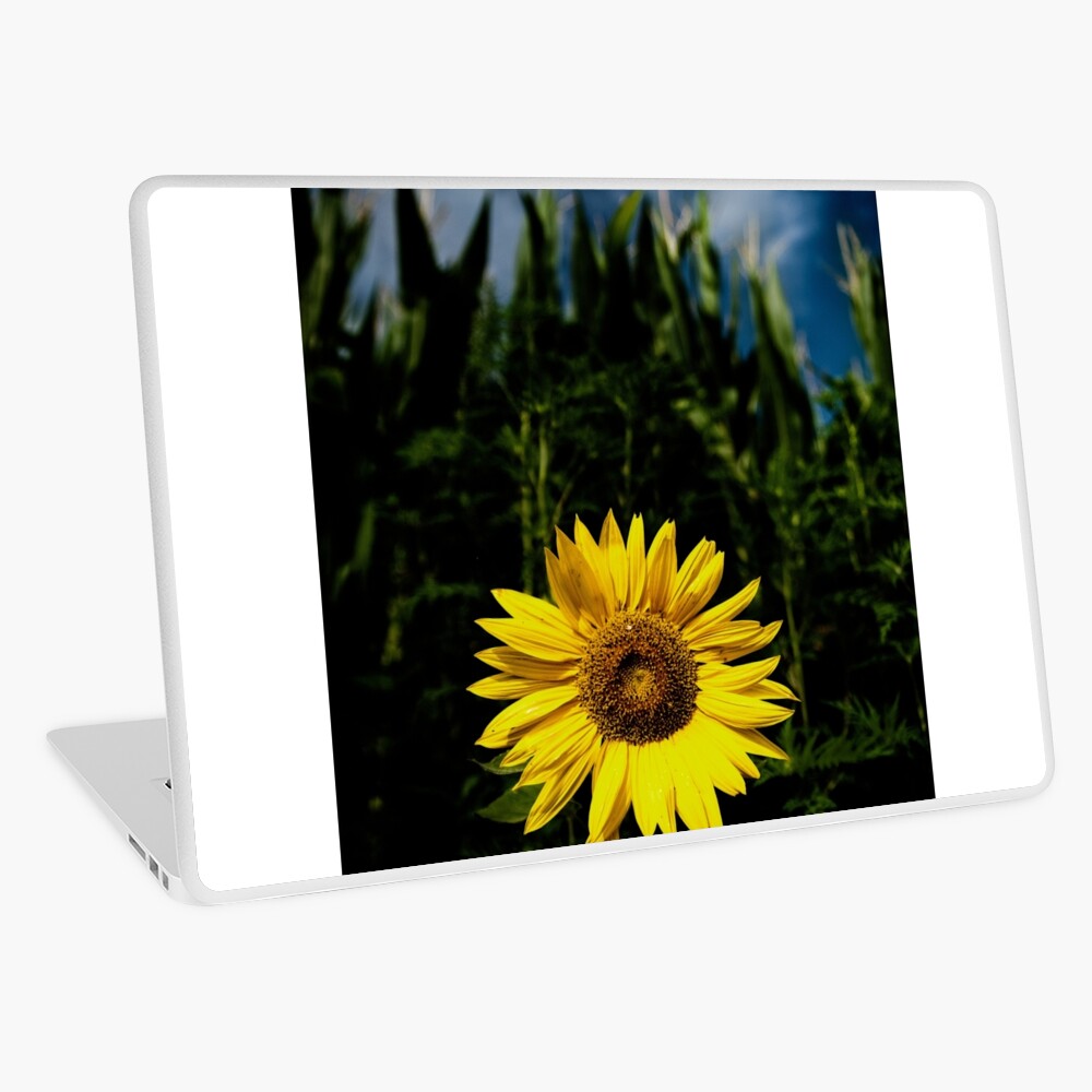 Item preview, Laptop Skin designed and sold by Livius.