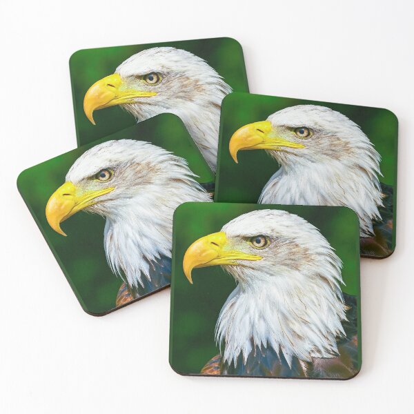 Item preview, Bald Eagle Head designed and sold by Dalyndigital Photography.