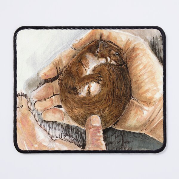 Item preview, A little weasel in his hands designed and sold by belettelepink.