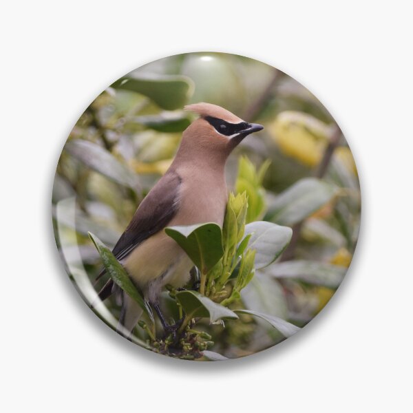 Item preview, Cedar Waxwing designed and sold by DonnaM.