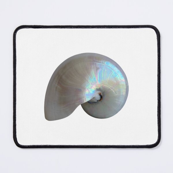 Item preview, Fibonacci Shell designed and sold by boomantique.