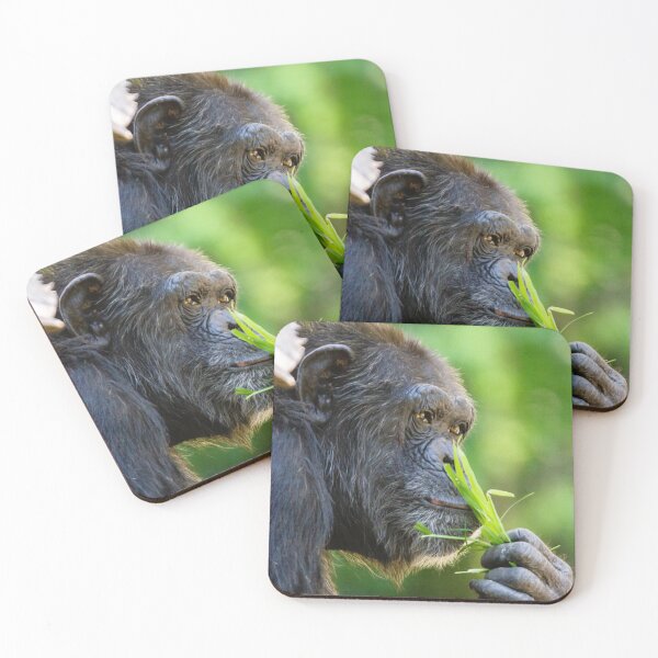 Item preview, Just smell the grass! designed and sold by Dalyndigital Photography.