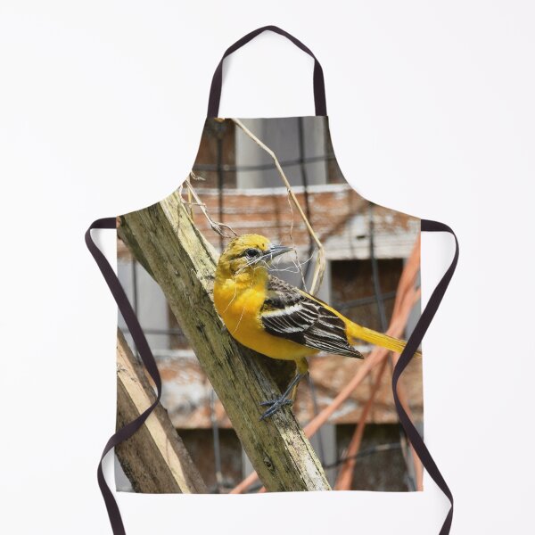 Item preview, Oriole (Icterus galbula) designed and sold by DonnaM.