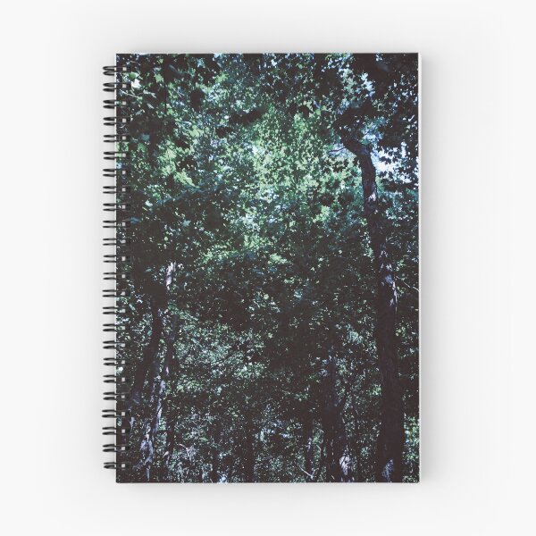 Item preview, grunge forest blue dazecore aesthetic vintage wide angle designed and sold by sielexis.