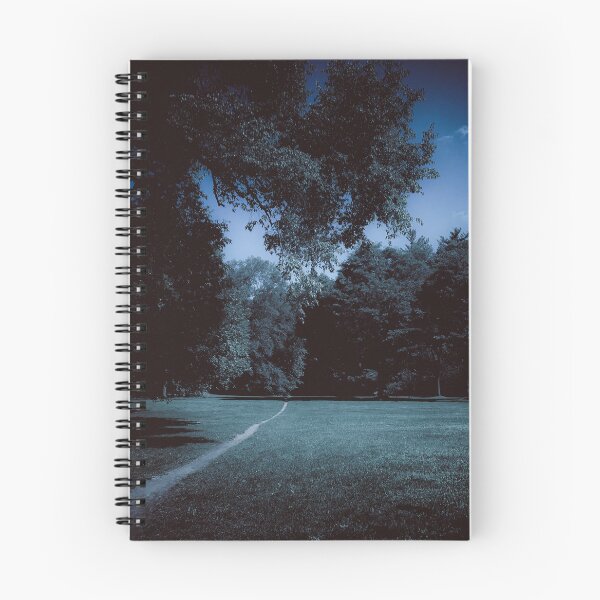 Item preview, darker dazecore aesthetic trail landscape photography grunge vintage blue designed and sold by sielexis.