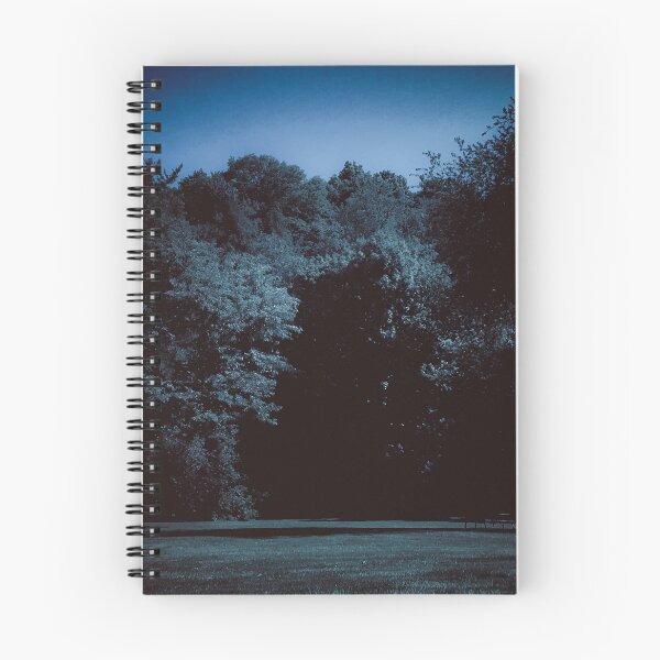 Item preview, dazecore aesthetic trail landscape photography grunge vintage blue bunch of trees beautiful sky darker designed and sold by sielexis.