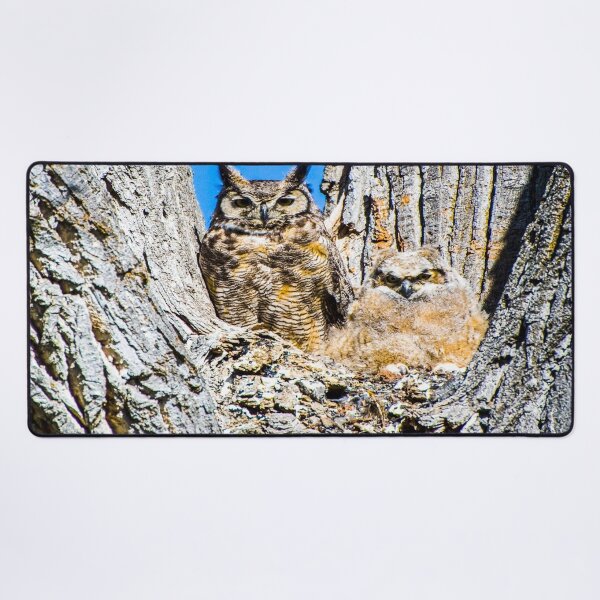 Item preview, fwc 1162 great horned owl designed and sold by fred chiea.
