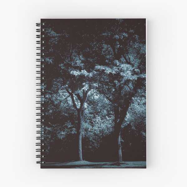 Item preview, dazecore aesthetic trail landscape photography grunge vintage blue bunch of trees darker closer designed and sold by sielexis.