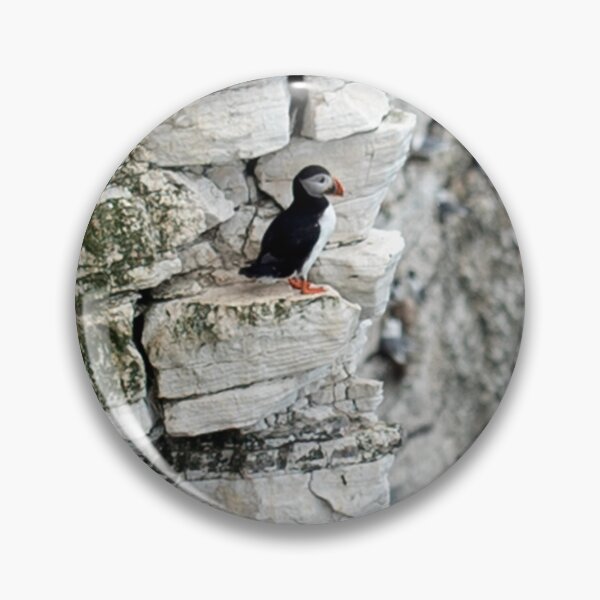 Item preview, Puffin on Bempton Cliffs designed and sold by davejw.