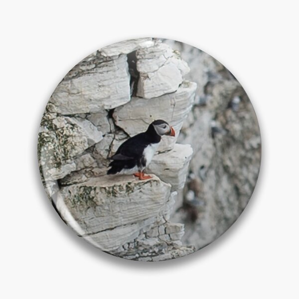 Item preview, Puffin at Bempton Cliffs designed and sold by davejw.