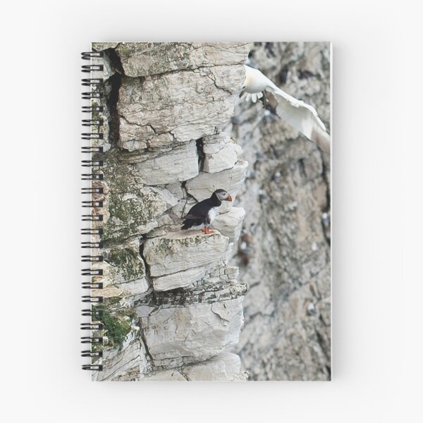 Item preview, Puffin at Bempton Cliffs designed and sold by davejw.