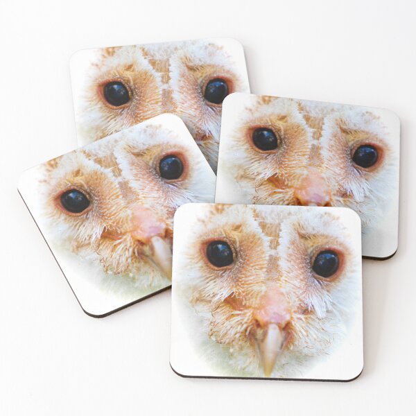Item preview, Barn Owl Chick designed and sold by Dalyndigital Photography.