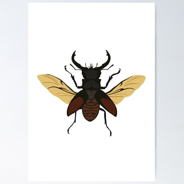 Item preview, Stag Beetle designed and sold by zykydesigns.