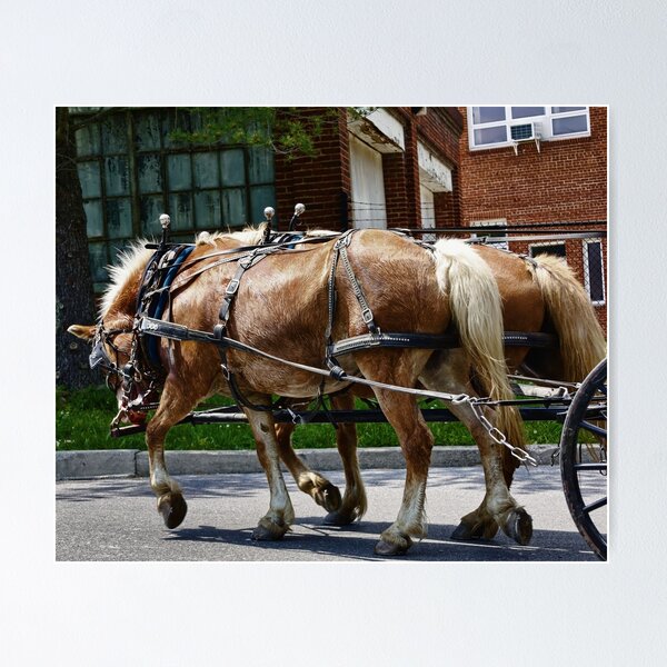Aperçu de l'œuvre Sueur de cheval créée et vendue par ArtbyDigman.