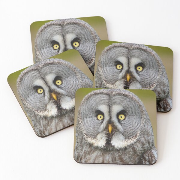Item preview, Great Grey Owl designed and sold by Dalyndigital Photography.