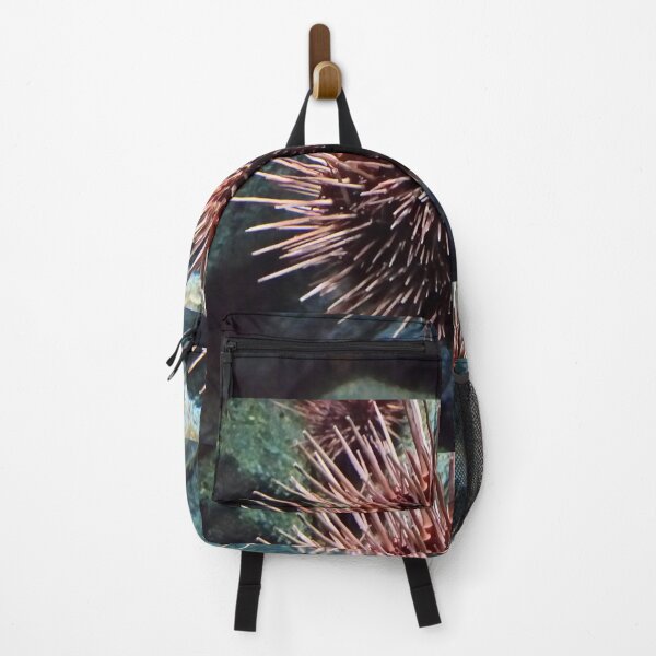 Item preview, Sea Urchin designed and sold by Chrissy34780.