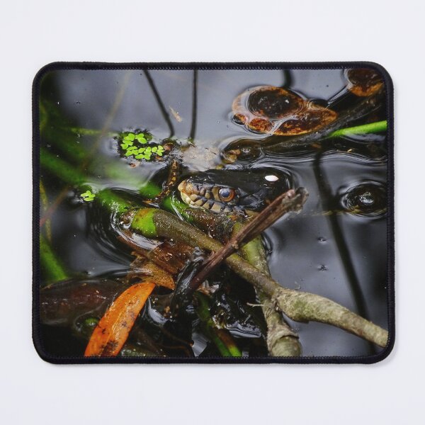 Item preview, Snake contemplating its life choices designed and sold by Dead-Moroz.