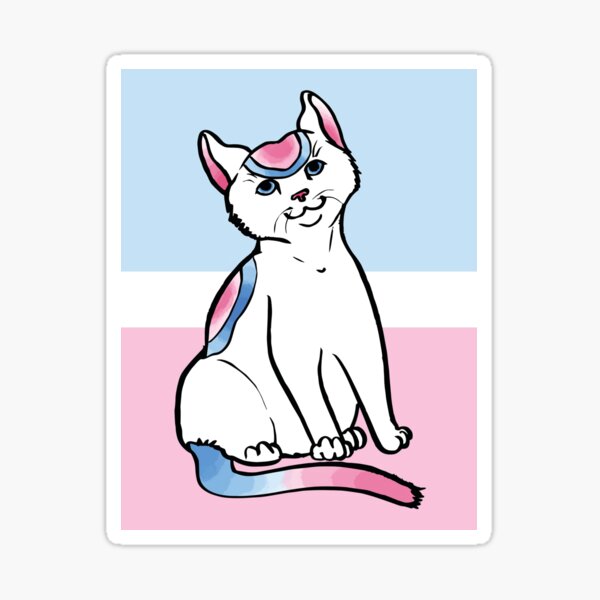 trans transgender pride kitty Sticker