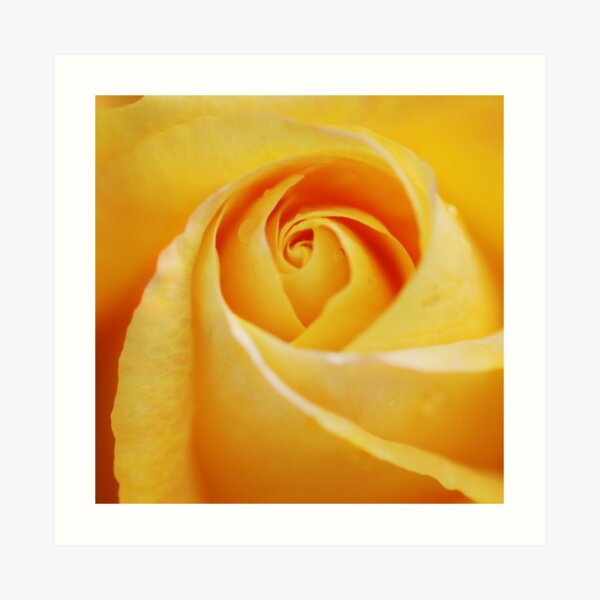 perfection Art Print